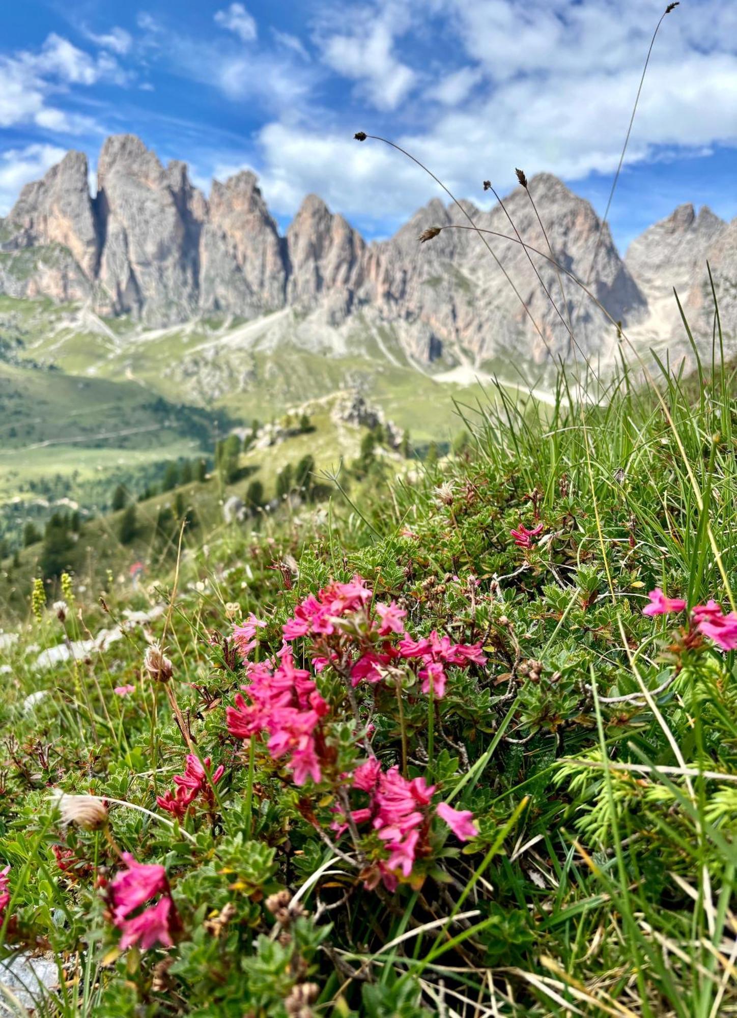 Praverd Nelle Dolomiti * Santa Cristina Val Gardena