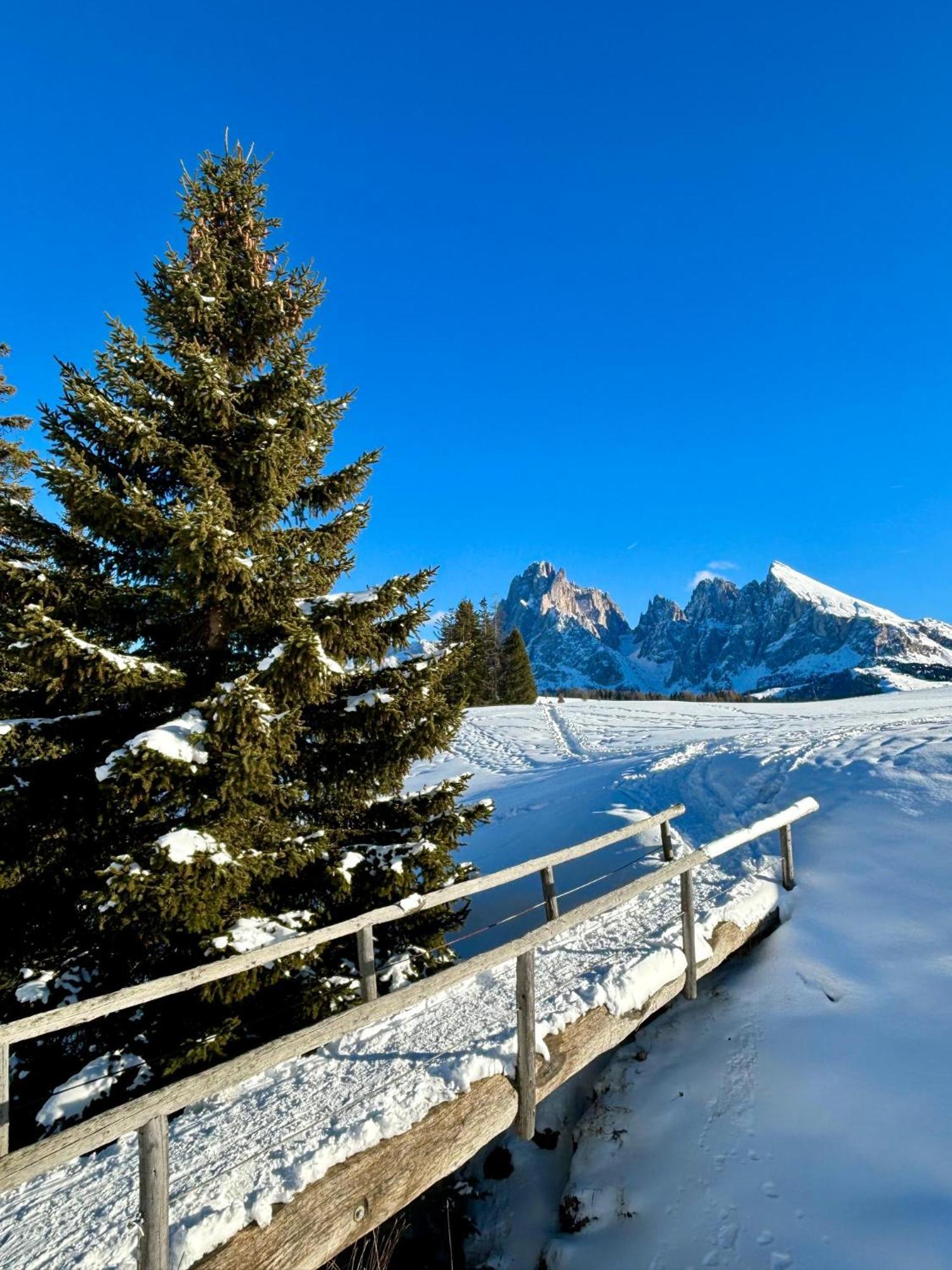 Praverd Nelle Dolomiti Apartment Santa Cristina Val Gardena